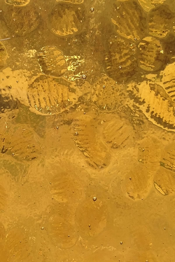 透明玻璃